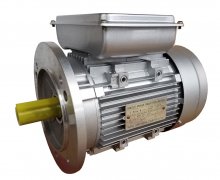 Redline Replacement 2 HP Heavy Duty Electric Shop Press Motor
